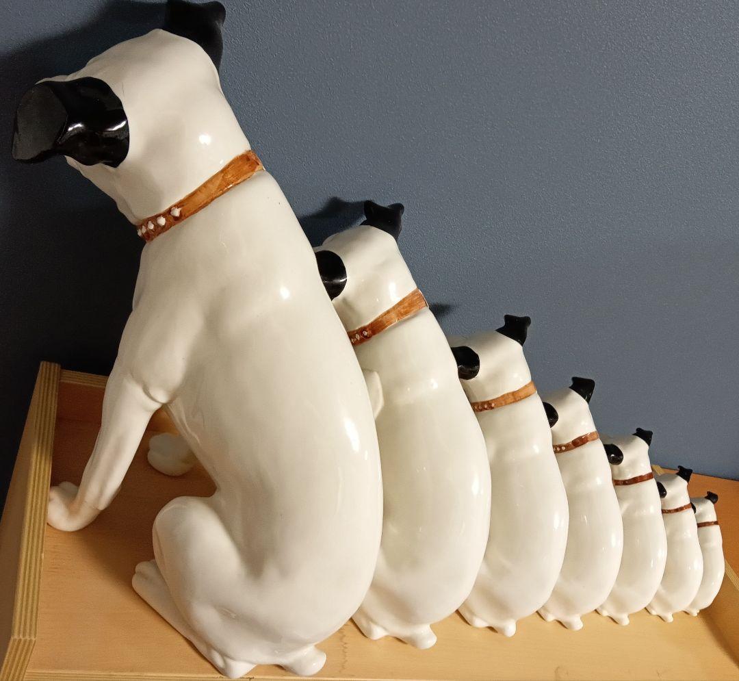 ビクター ニッパー犬 ニッパー　特大44cm～ 7匹 手渡し希望 千葉県習志野市