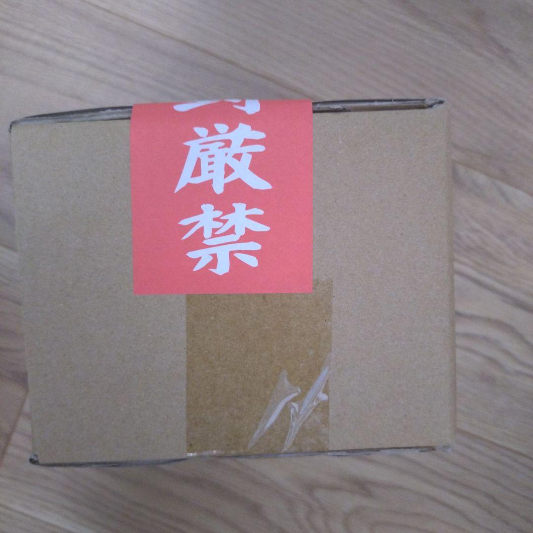 新品未開封　MTG 初音ミク　Summer Superdrop 2024