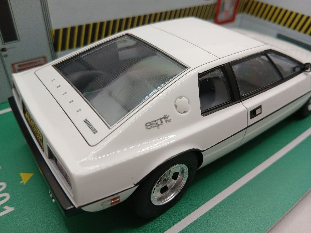 【専用品】TRYHORN 様　ロータスエスプリ