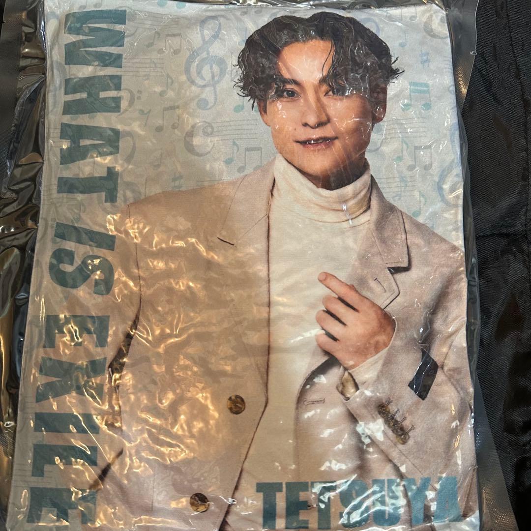 TETSUYA　クッション　レア　WHAT IS EXILE　実写　会場限定