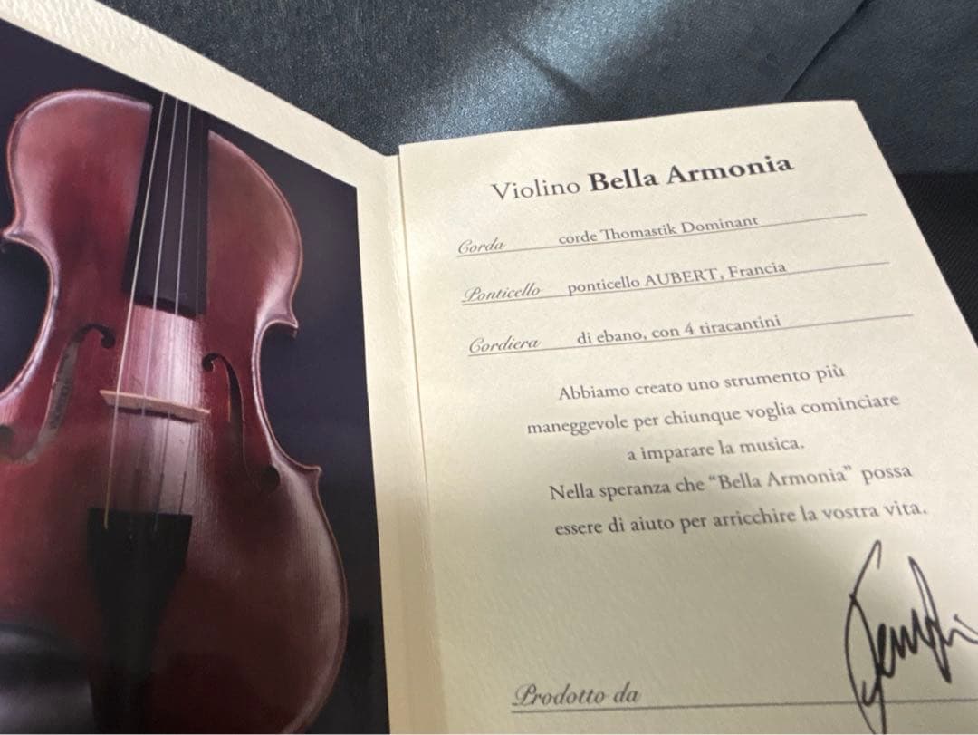 未使用 バイオリン 本体・ケース