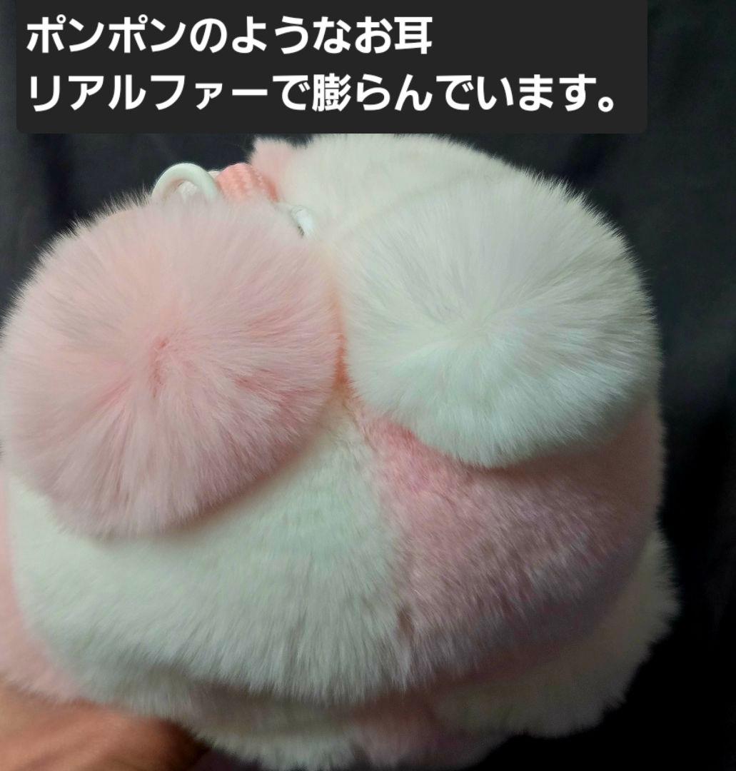 ★激レア■最高級レッキスラビット・リアルファー■海外限定■フワフワお姫様ラブブ❤