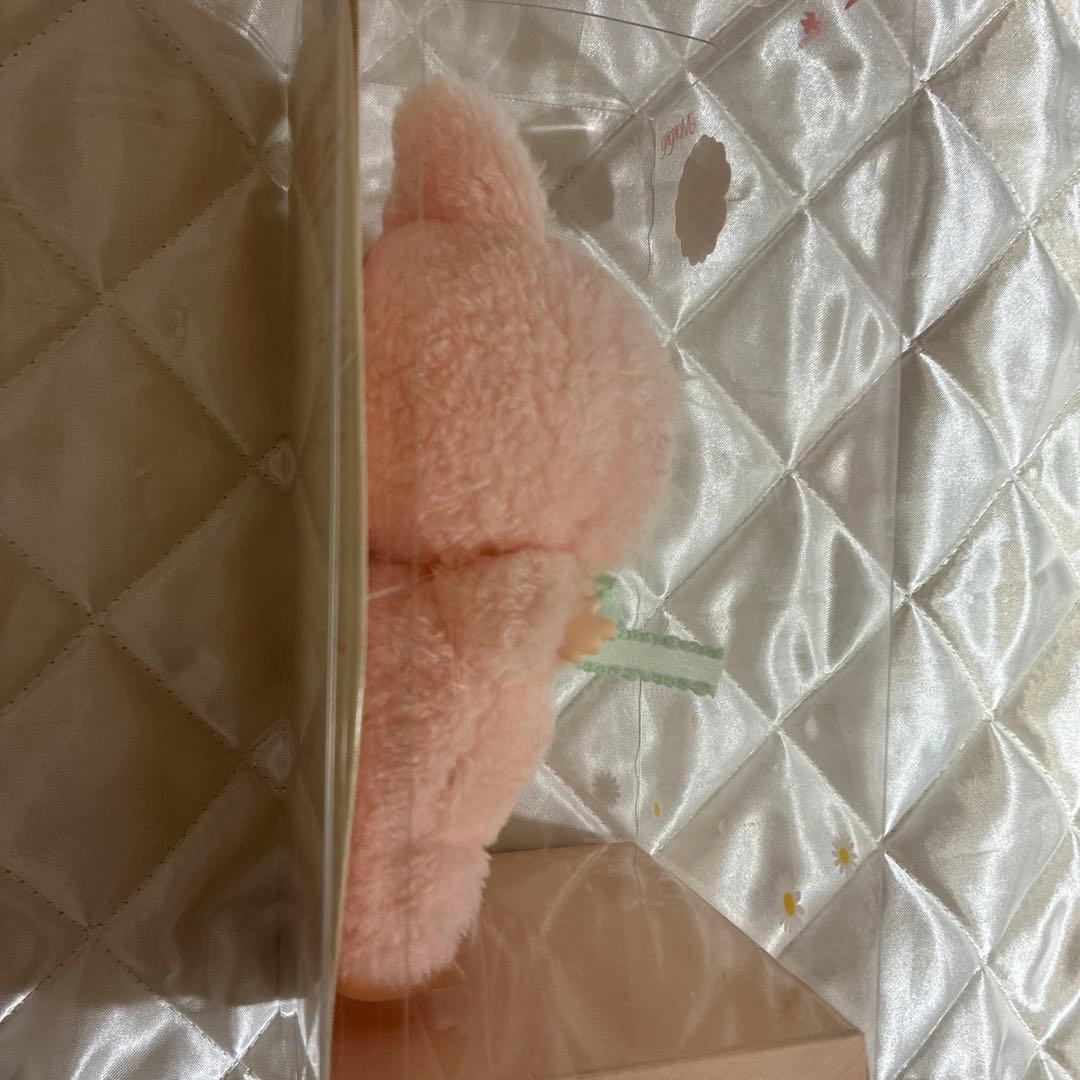 SALE❗️LABUBU MOKOKO CLOSE TO SWEET