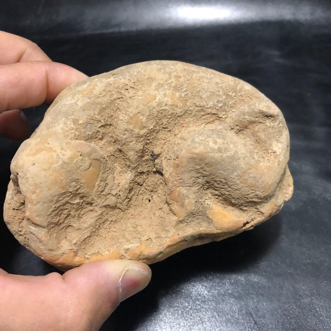 蔵から中国古銭と一緒の箱から出てきた 5体の内の1体　 犬イヌ中国古美術土器