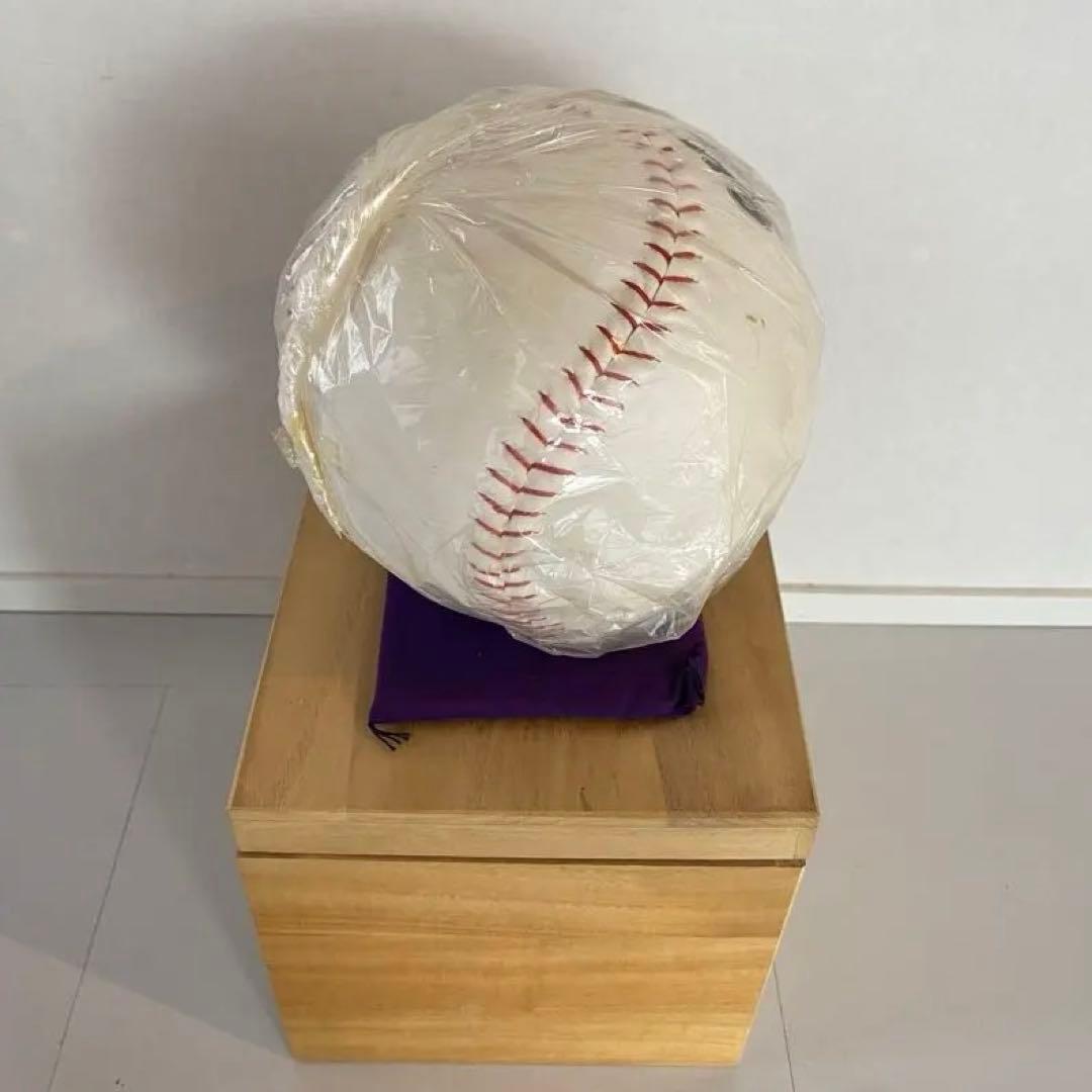 GIANTS 長嶋茂雄勇退記念刺繍ボール 木箱入り 野球