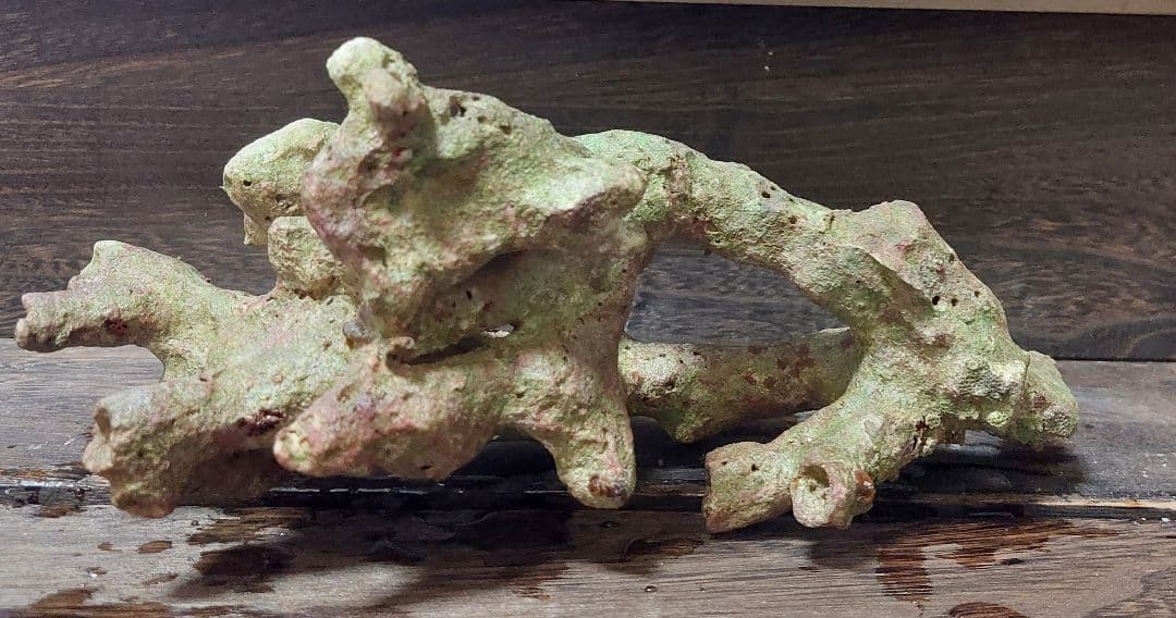 天然ライブロック サンゴ　枝塊　25cm 2点