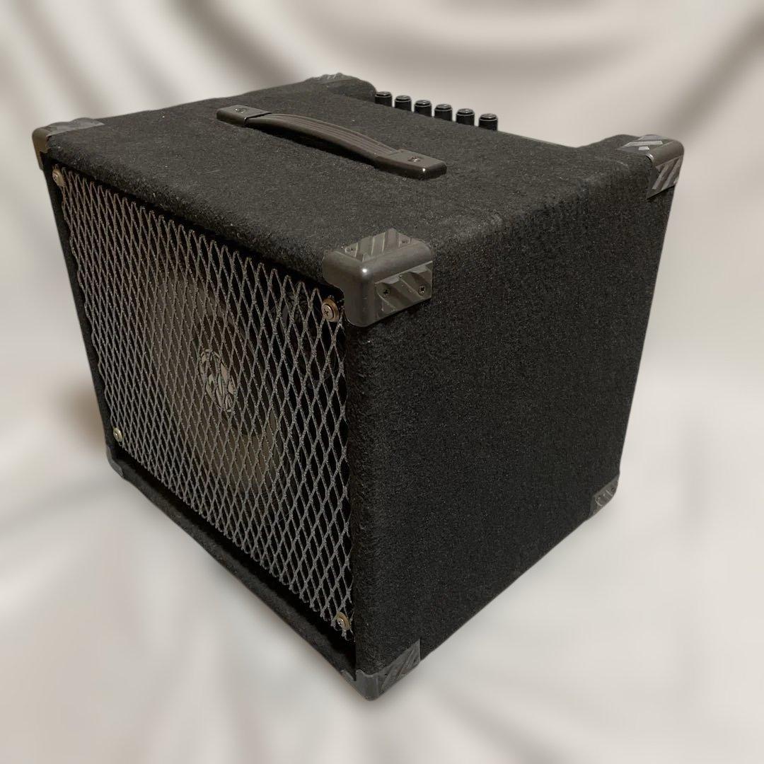 sr08oeapSWR Workingman's Ten ベース用アンプ