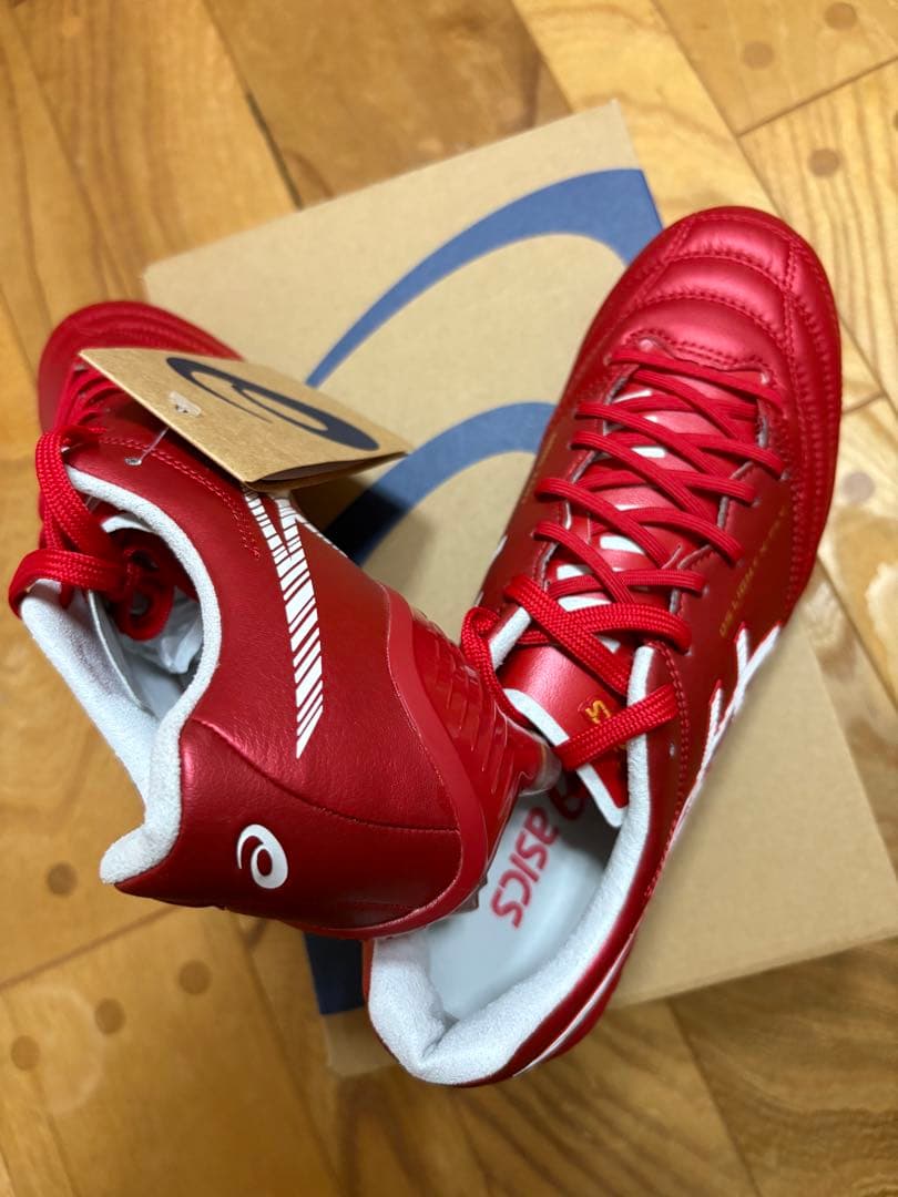 新品　限定　大特価　アシックス　DSライト X-FLY5 25cm