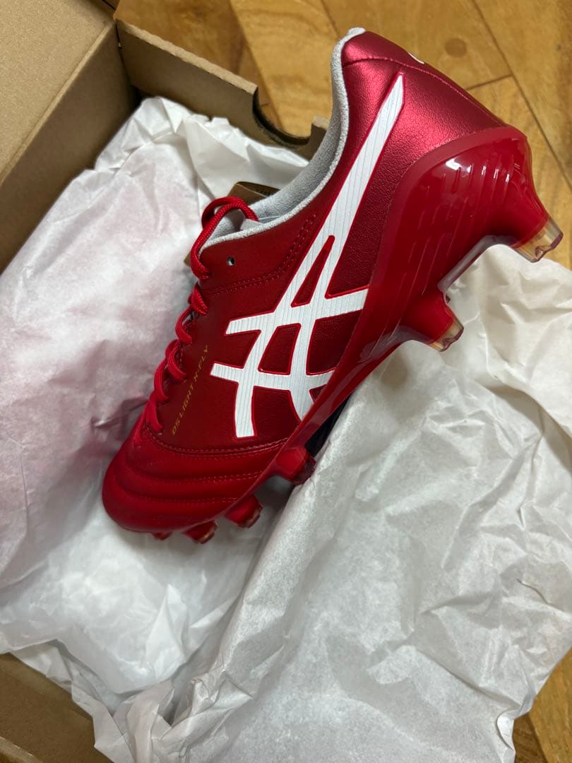 新品　限定　大特価　アシックス　DSライト X-FLY5 25cm