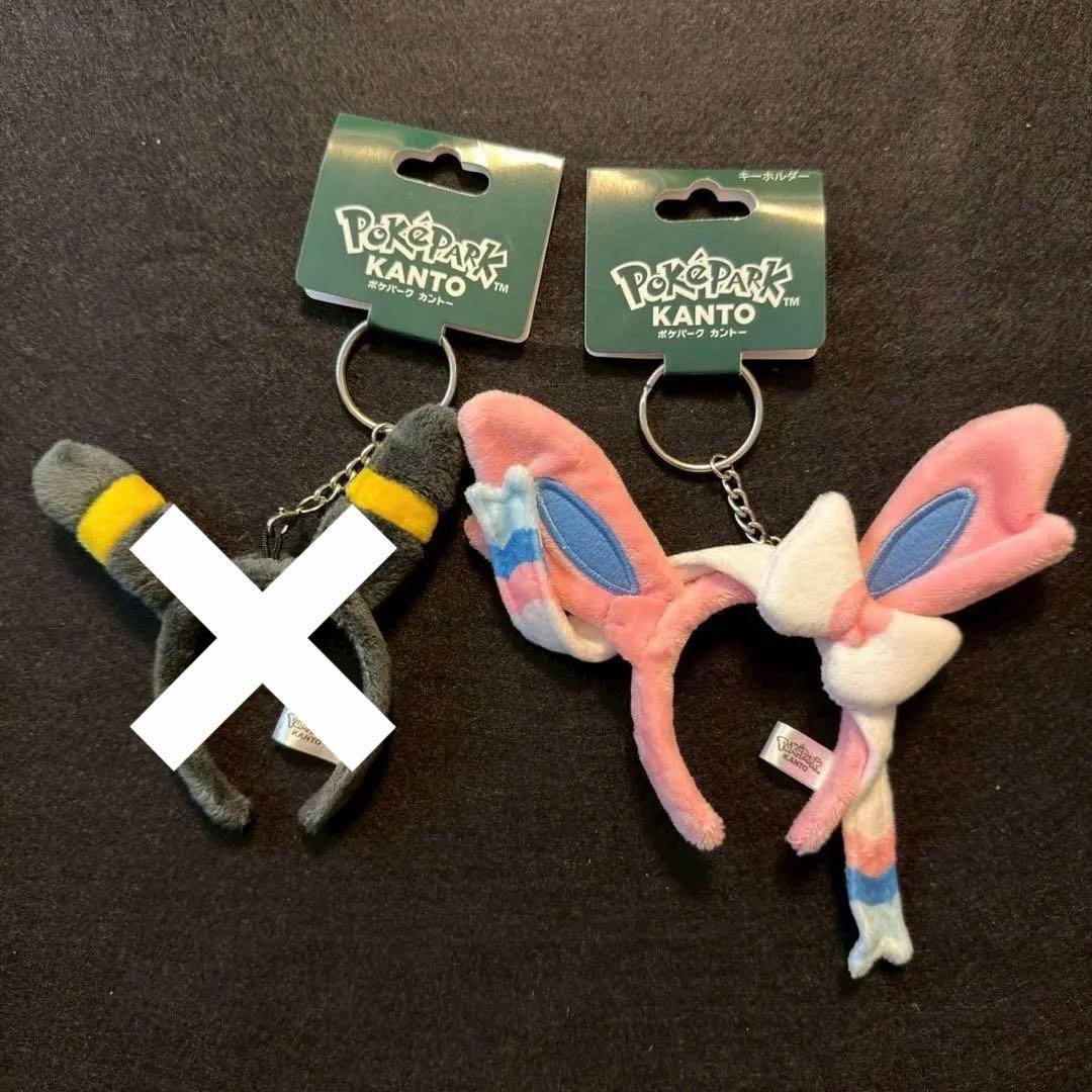 ポケパーク　ブラッキー　ニンフィア　セット