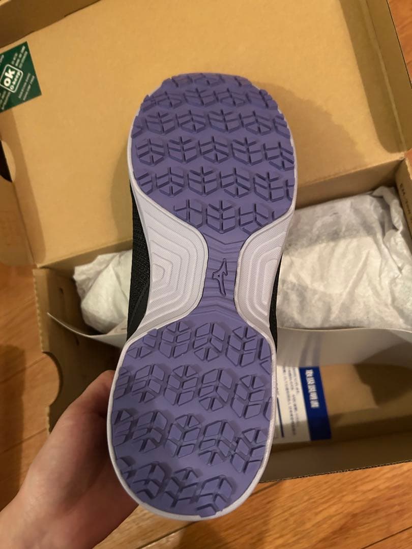 [ミズノ] ワークシューズ オールマイティEL 31L F1GA2509