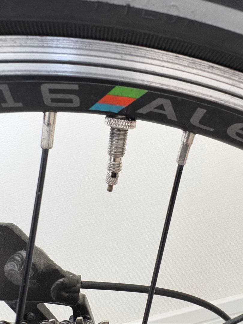 【値下げしました】birdy classic