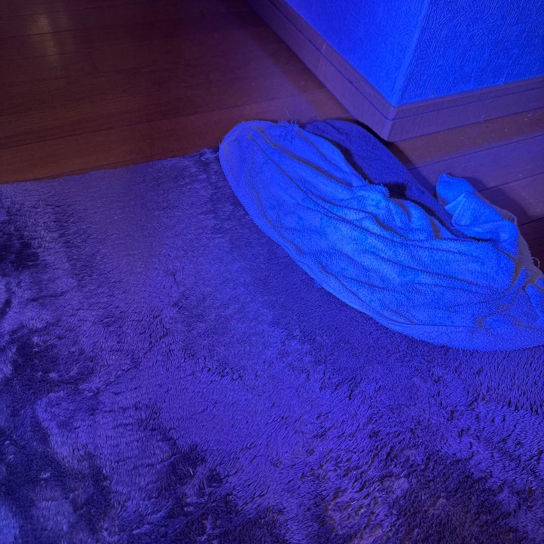 GrassyLeDiorX122 RF E26ソケットライト