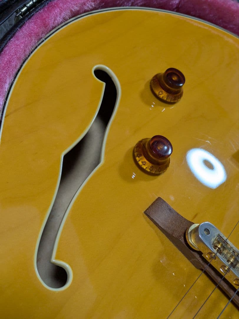 FERNANDES　BURNY RFA-65　フルアコ エレキギター