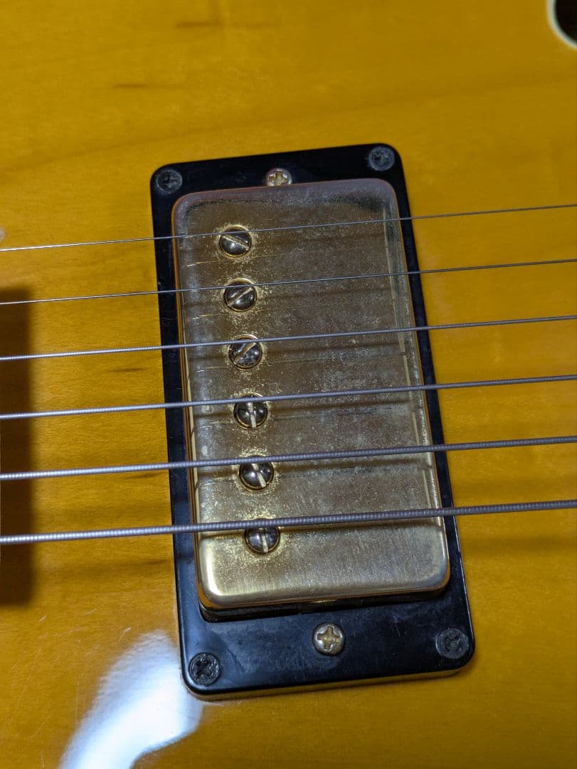 FERNANDES　BURNY RFA-65　フルアコ エレキギター