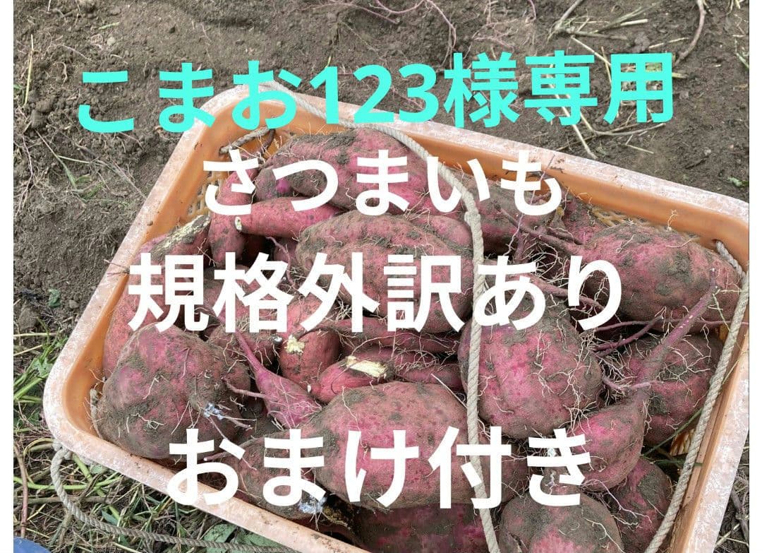 こまお123さつまいも 規格外訳あり おまけ付き