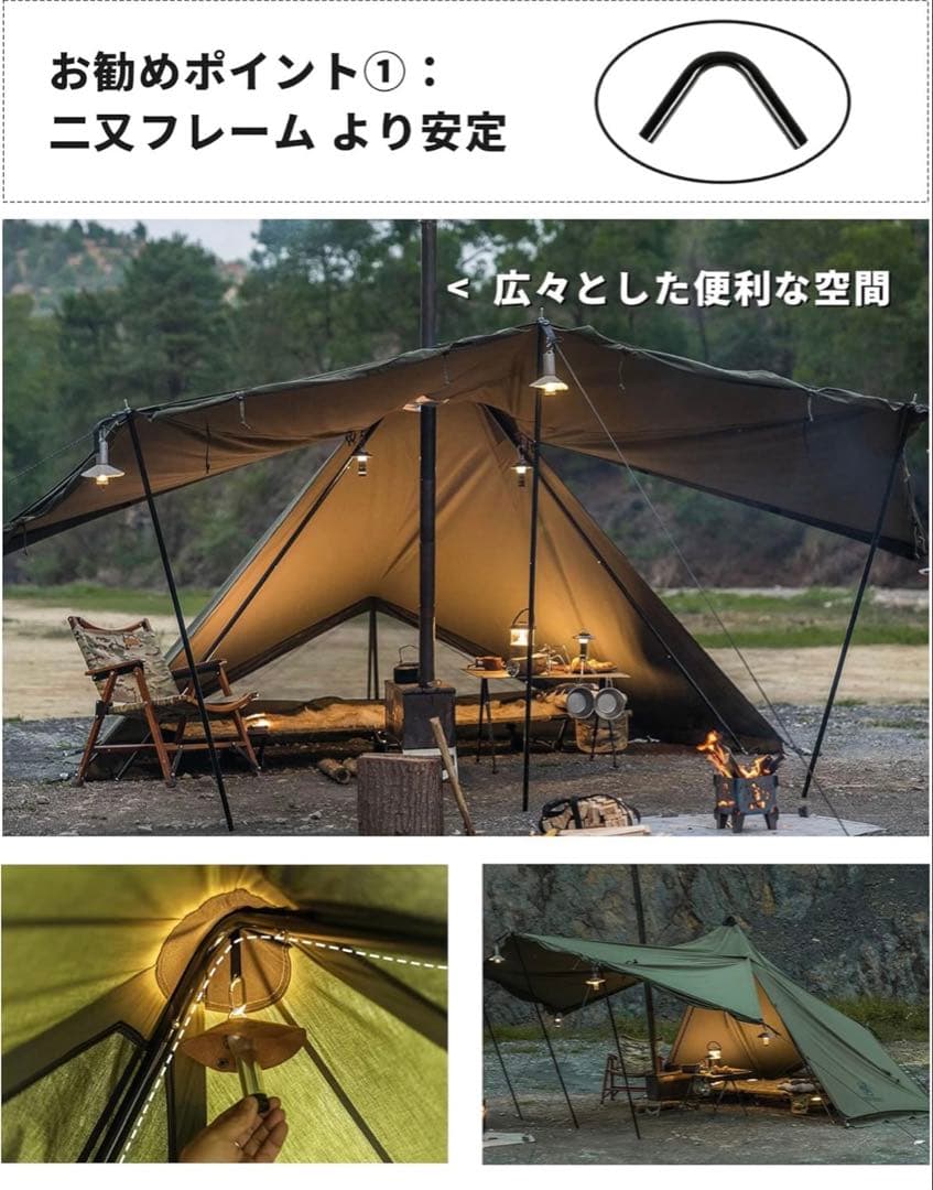 ワンティグリス　コニファー