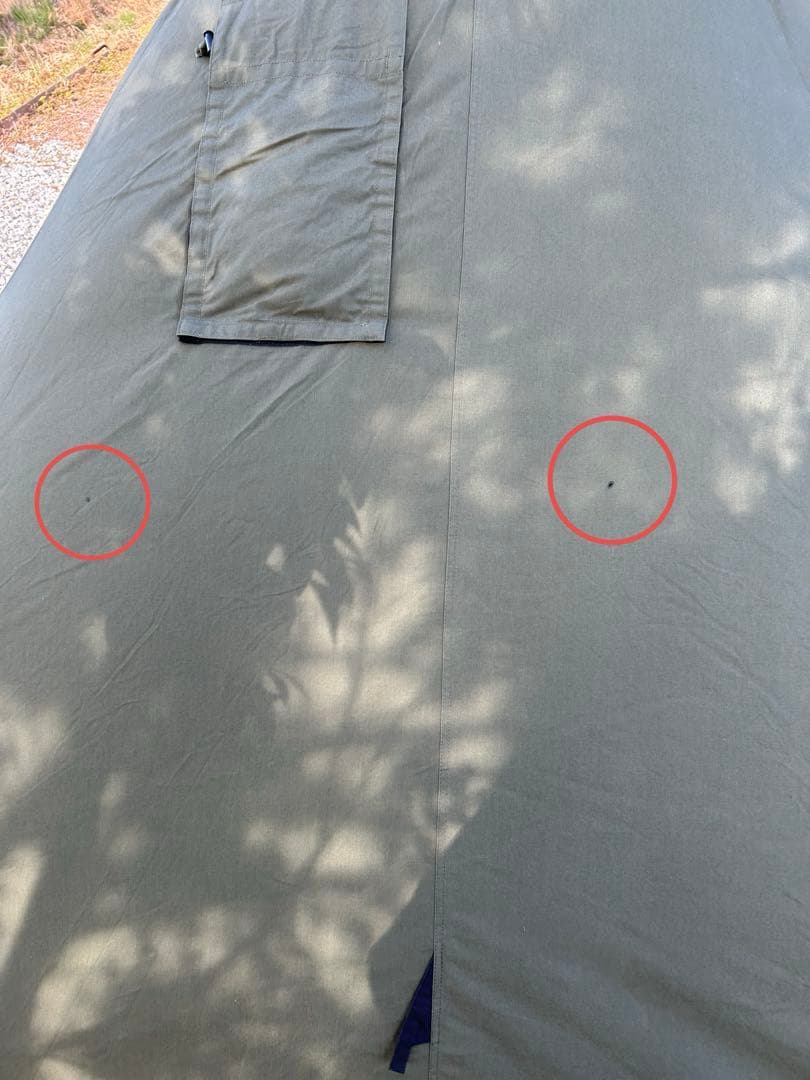 ワンティグリス　コニファー