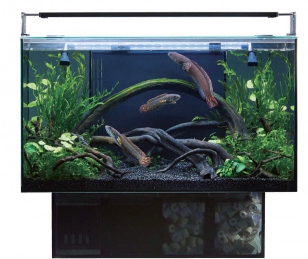 ※直接受け渡しのみ グラステリアags 450 本体　水槽台セット