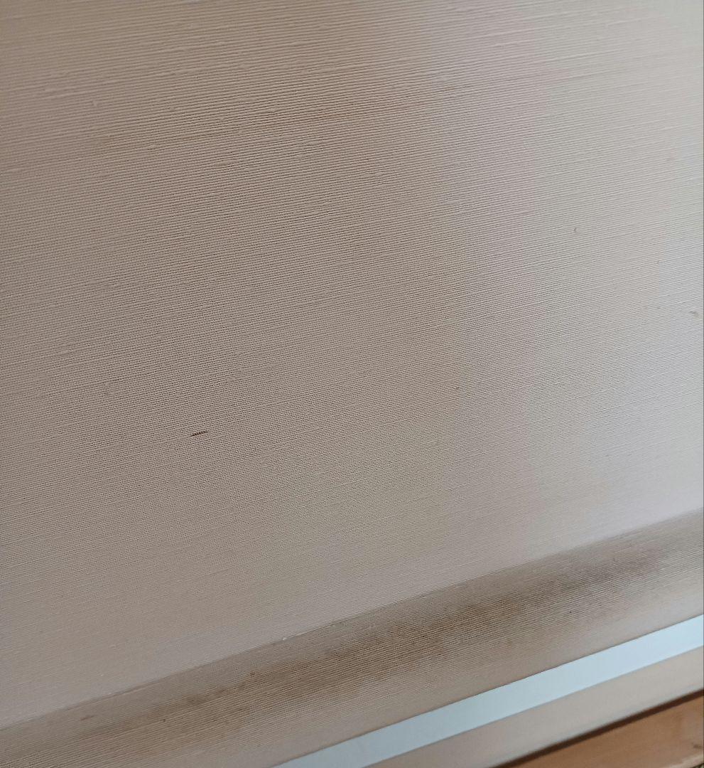 【西森湧光】赤富士　掛軸　日本画　骨董