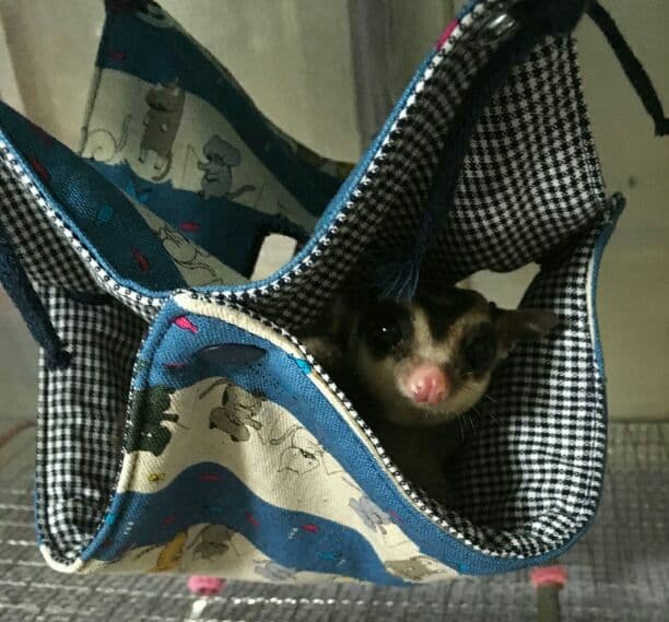 モモンガハウス(ハリネズミ柄Ver.3・ほし)  春(夏)秋仕様  1850円