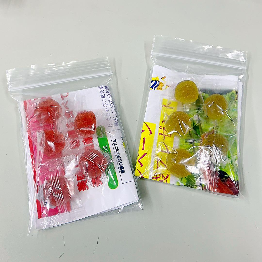 ✨新発売人気商品✨免研 ツバメの巣グミ (マスカット味) 4.5g×72包×2袋