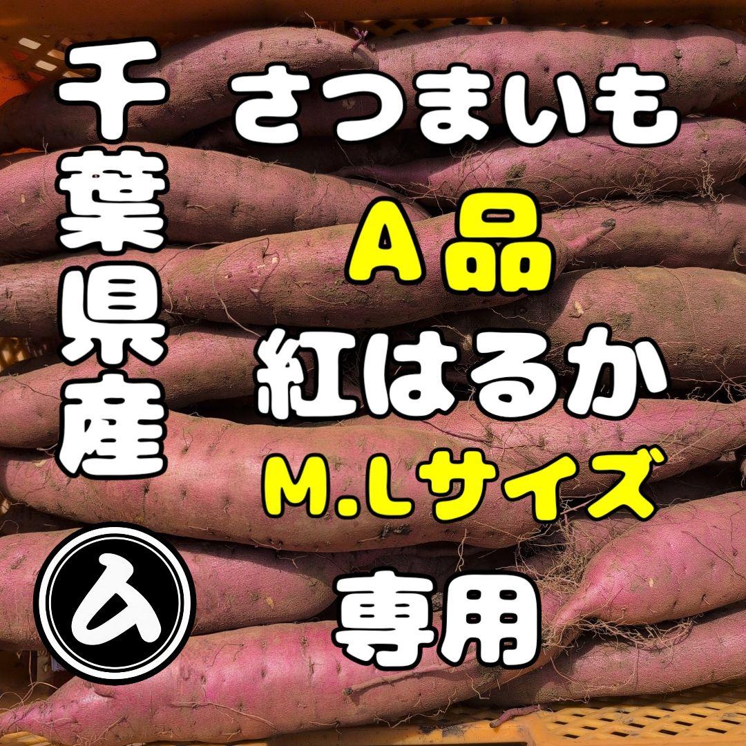 千葉県産　さつまいも　紅はるか　20キロ　優品　M.L