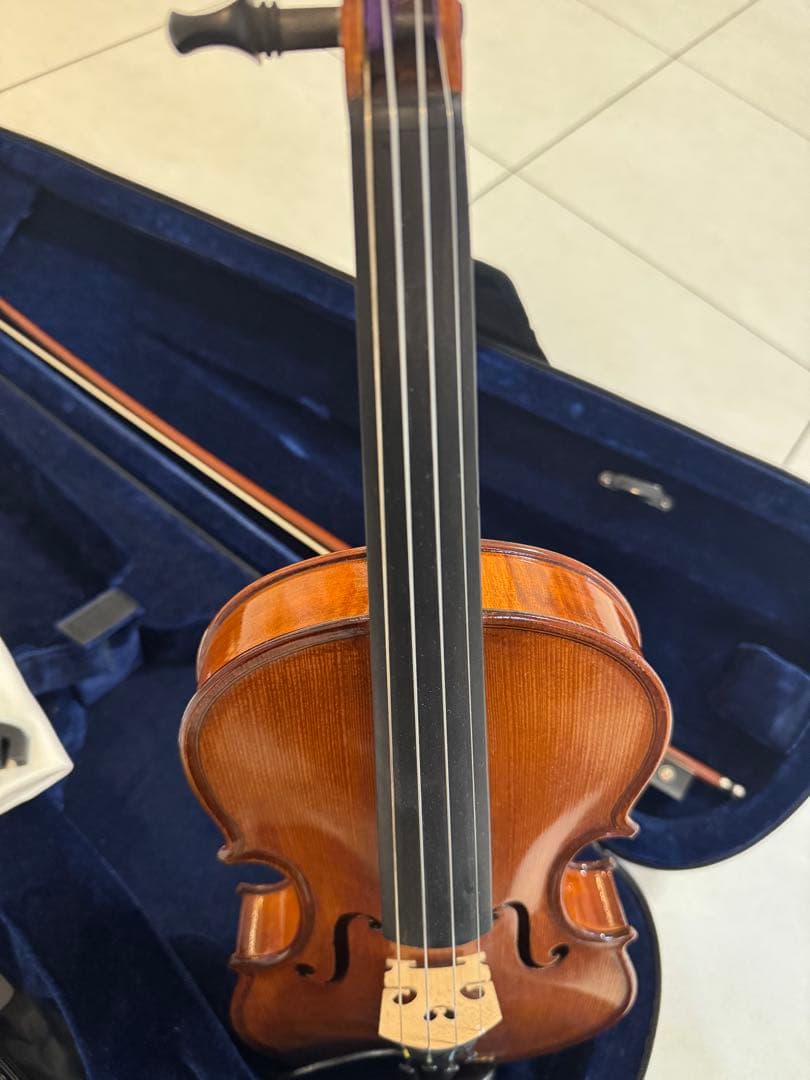 Gliga Gliga Gems Violin SET バイオリン本体とその他