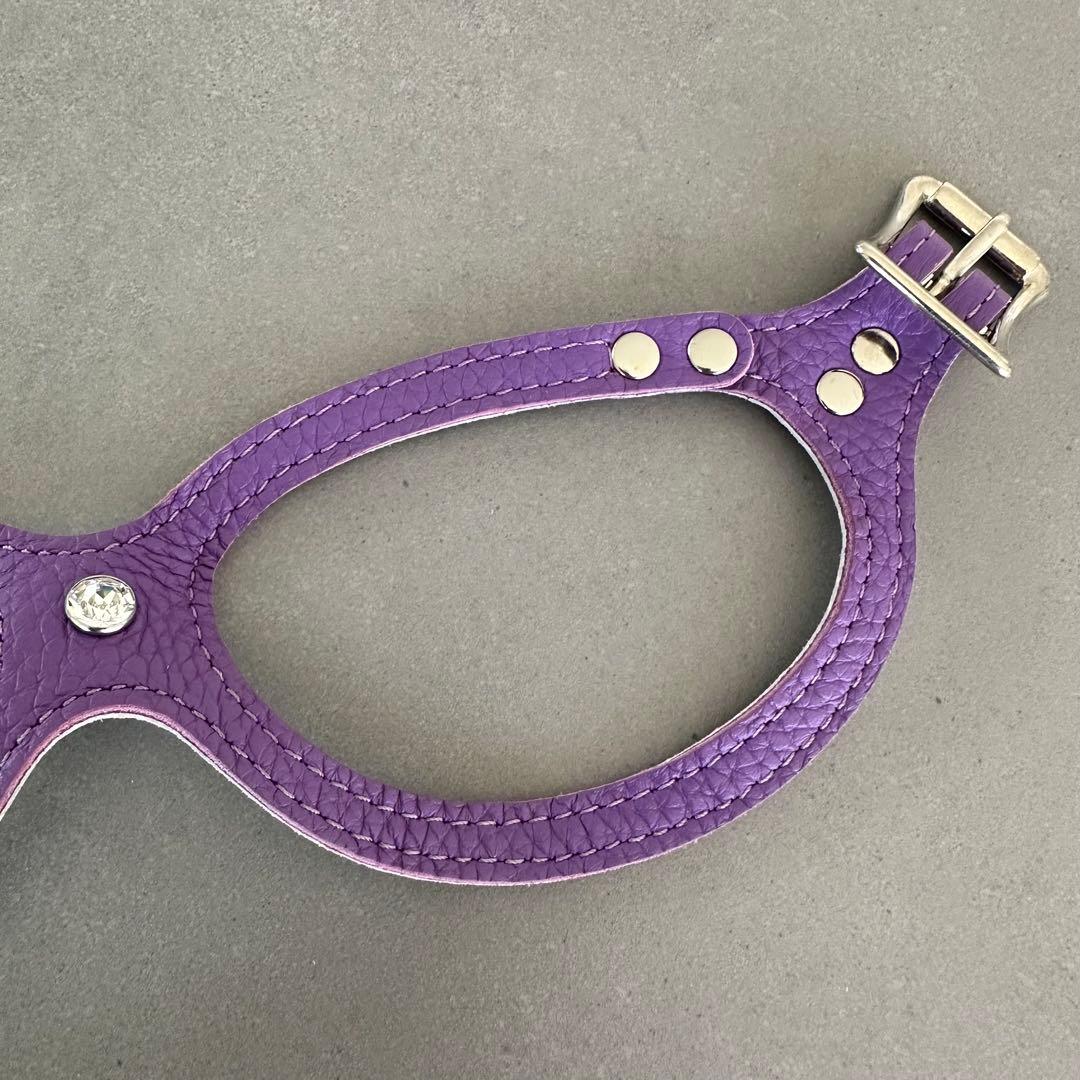 バディベルト BUDDYBELTS 3.5 紫 ハーネス