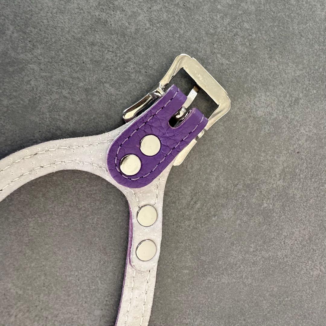 バディベルト BUDDYBELTS 3.5 紫 ハーネス