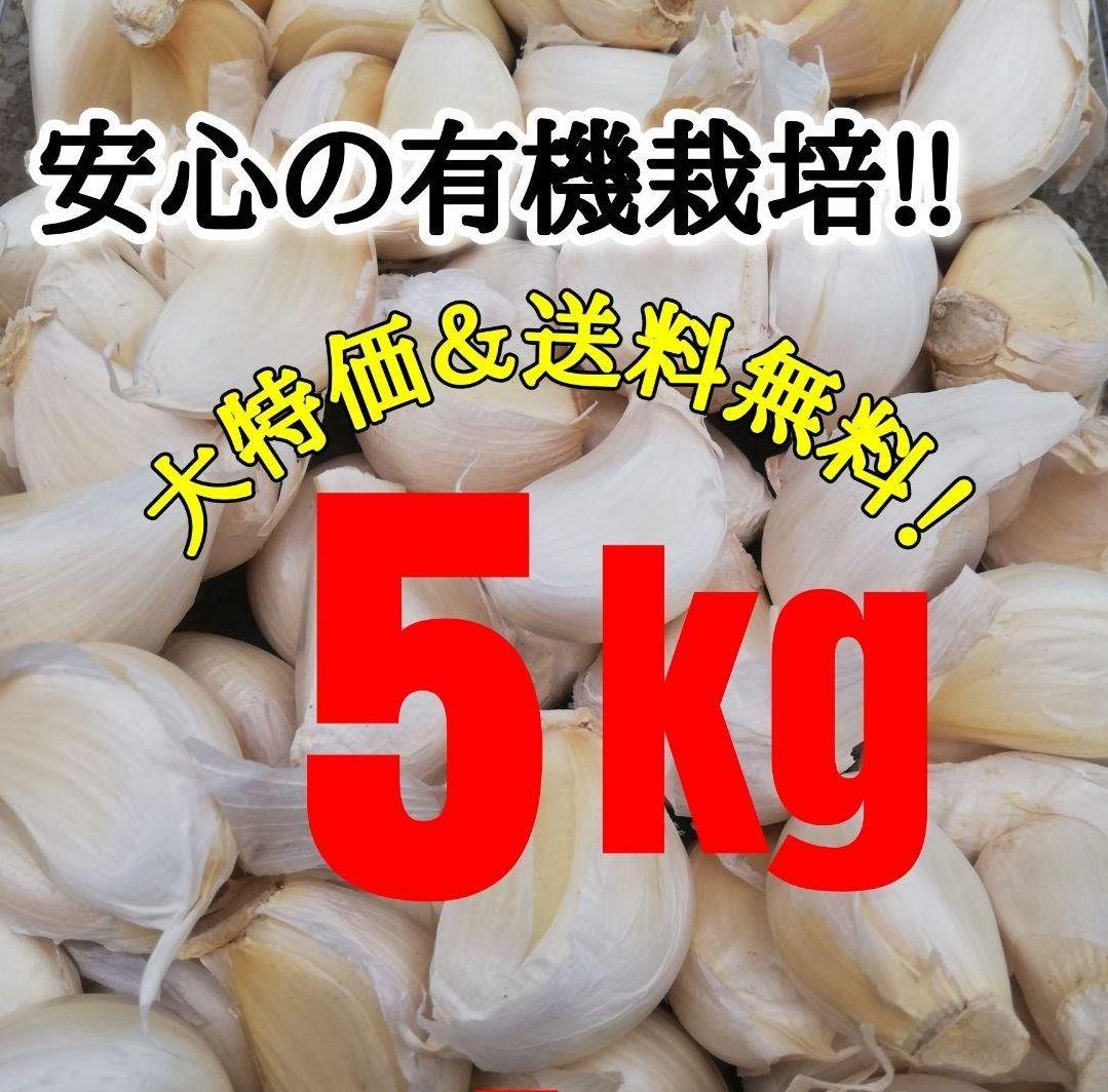 【送料無料】 2025年産 無農薬 バラニンニク 5kg ニンニク 5キロ