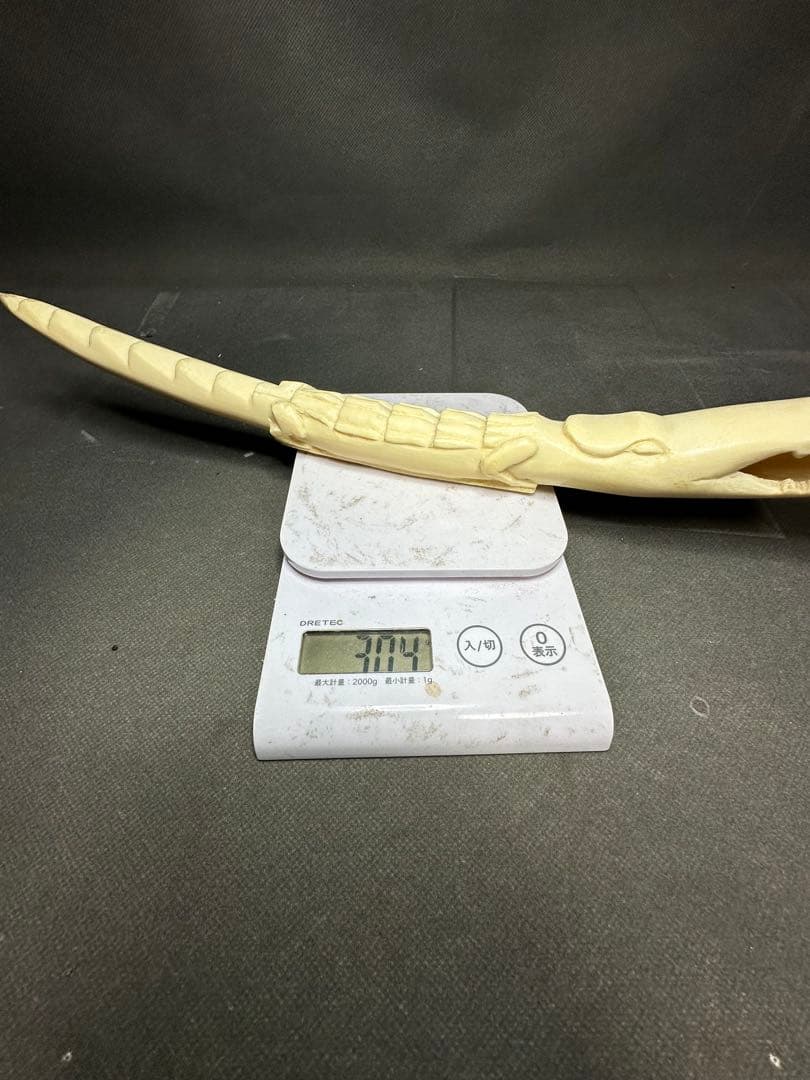 極上　ワニ　天然素材　置物　飾り物　古美術品　 置物　細密細工　骨董　ア魔除け