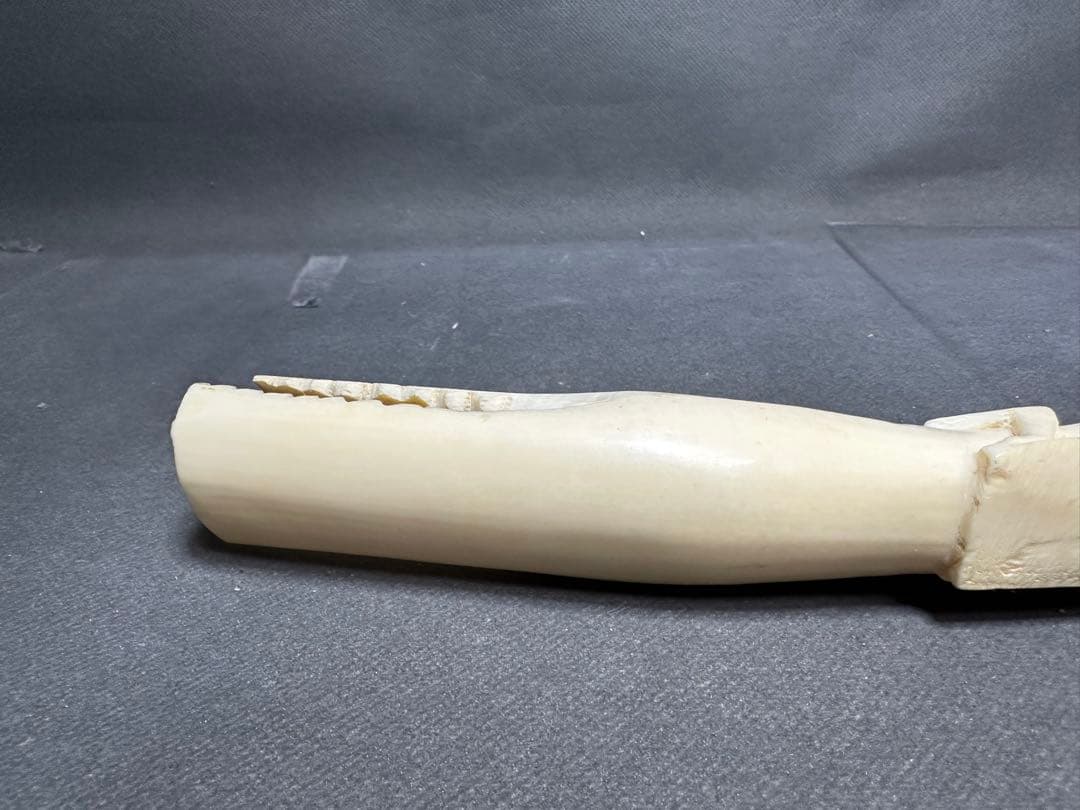 極上　ワニ　天然素材　置物　飾り物　古美術品　 置物　細密細工　骨董　ア魔除け