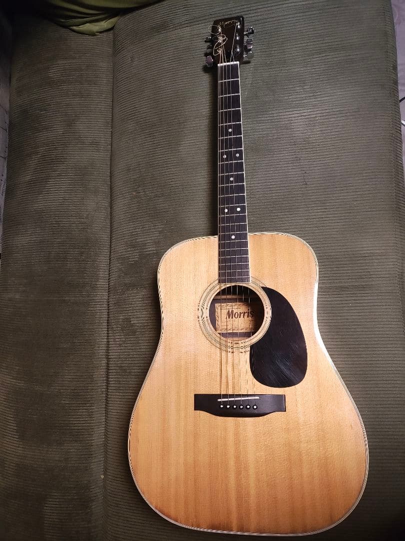 Morris アコースティックギターW25