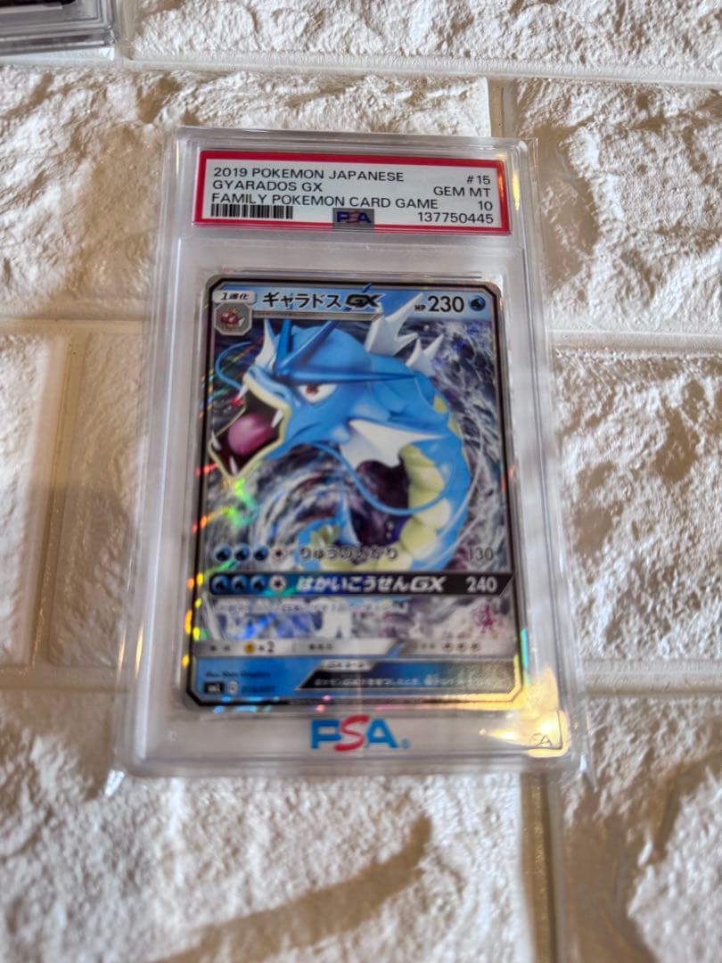 PSA10 ギャラドスGX ファミリーポケモンカード