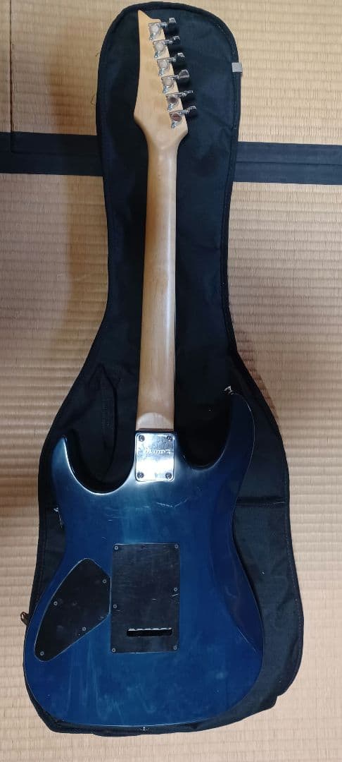 格安アイバニーズ　GIOジャンク