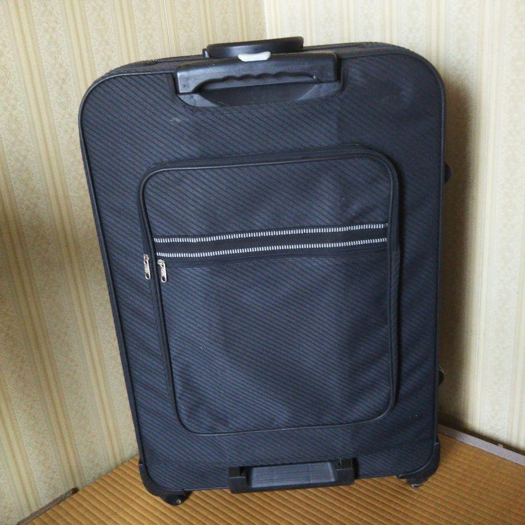 大型キャリーバッグ 布製ソフトケース　Lサイズ　2個セット