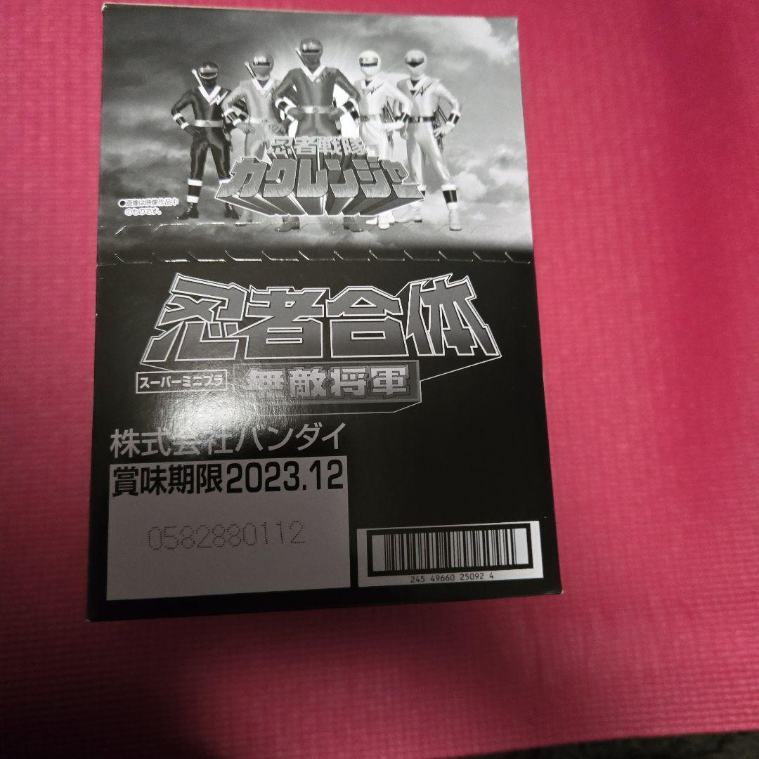 SMP無敵将軍、隠大将軍、ツバサマル