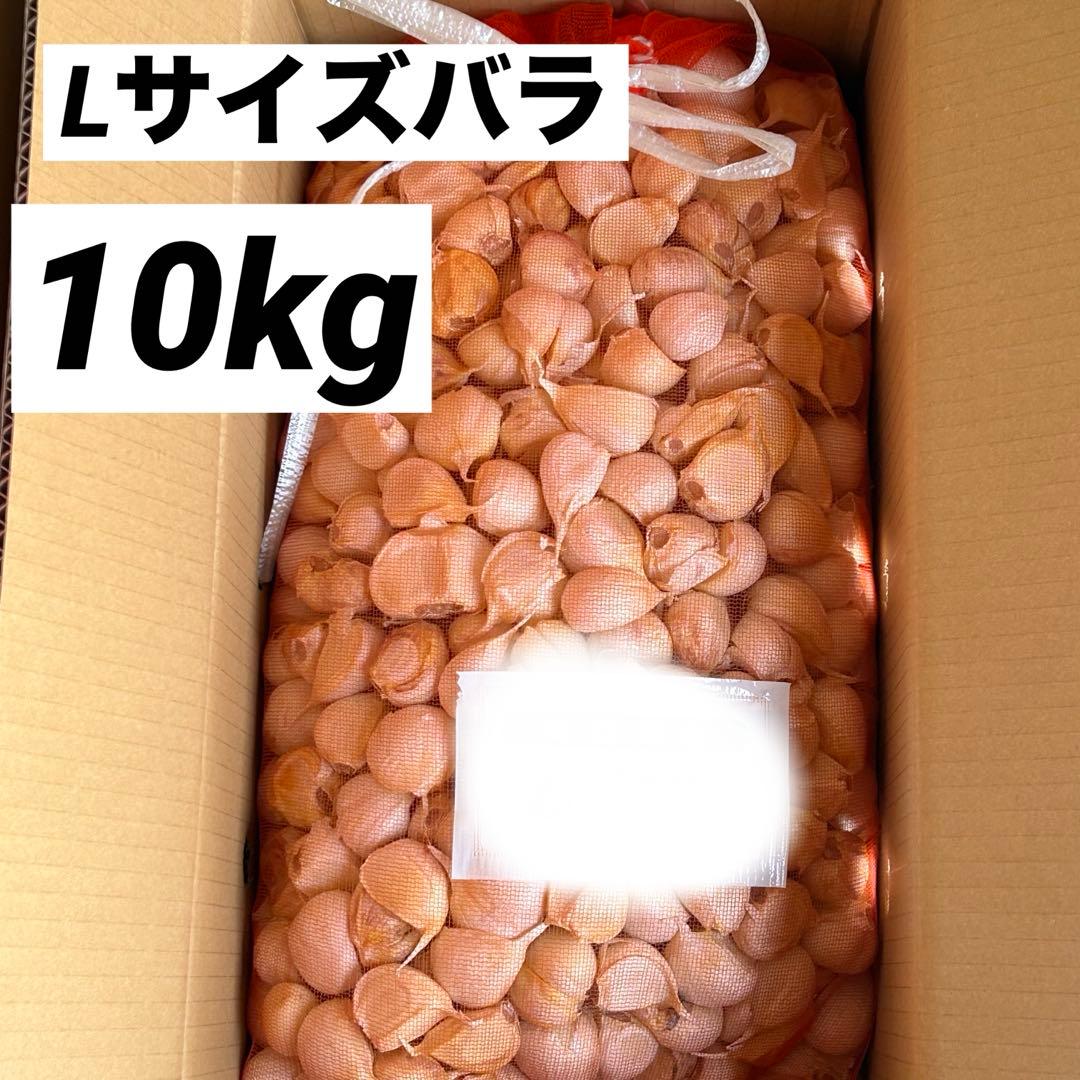 【数量限定】青森県産 にんにく Lバラ10kg 福地ホワイト 免疫力アップ