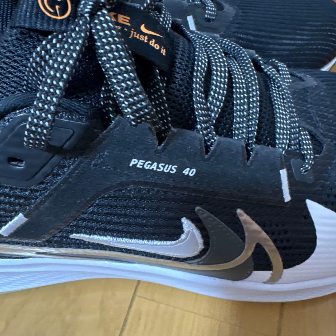 大きいサイズ　試着のみ　Nike Pegasus 40ブラックus13 31cm