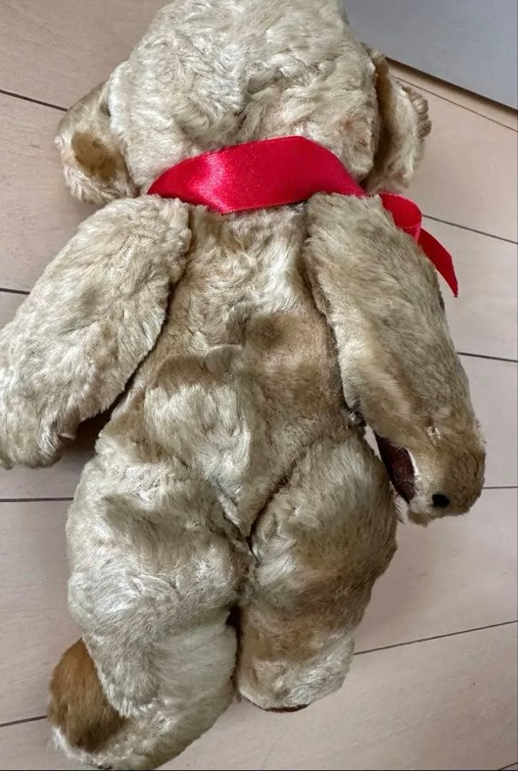 メリソート/REGDチーキー/アートシルク