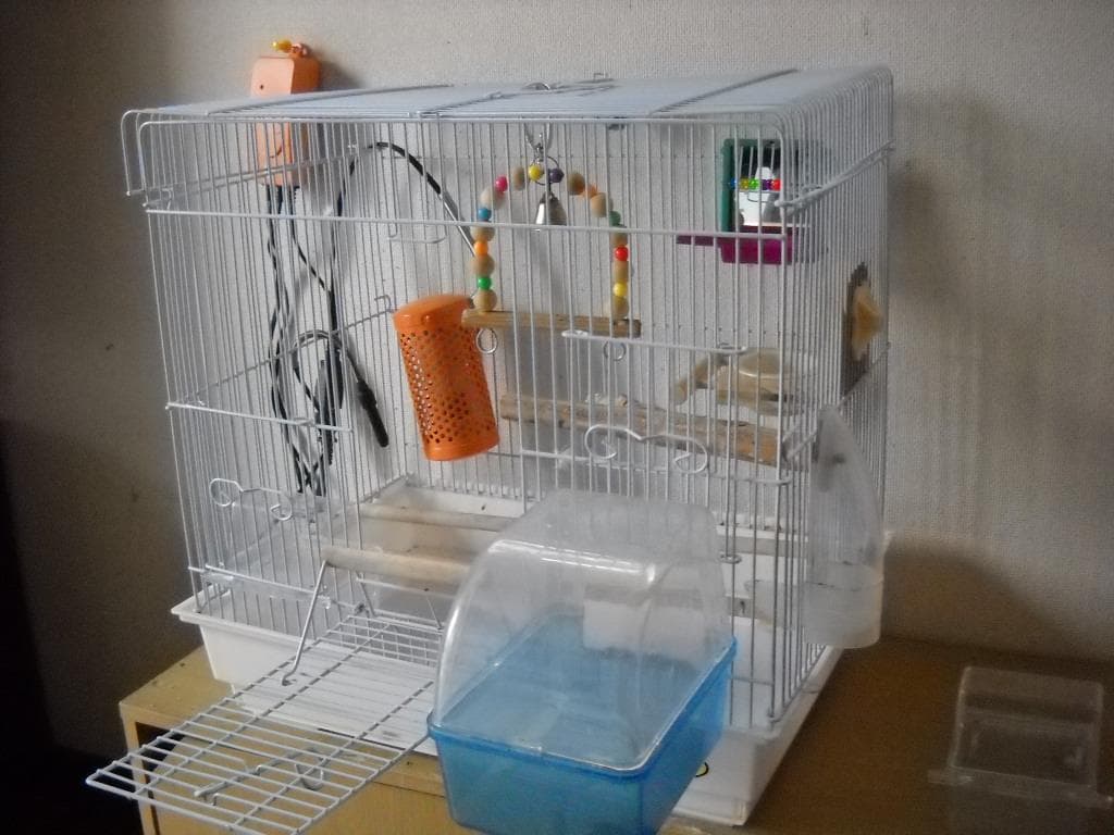 鳥かご ＆飼育セット＆おもちゃ付き