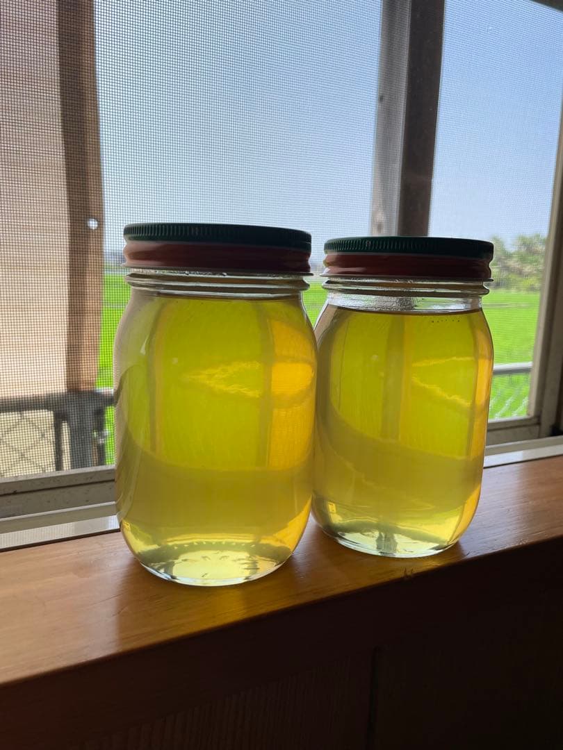 天然100%絞り立て生はちみつ　620g✖️2