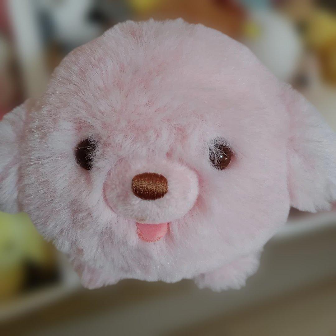 サンエックス　限定　リラックマ　ピンク色の子犬