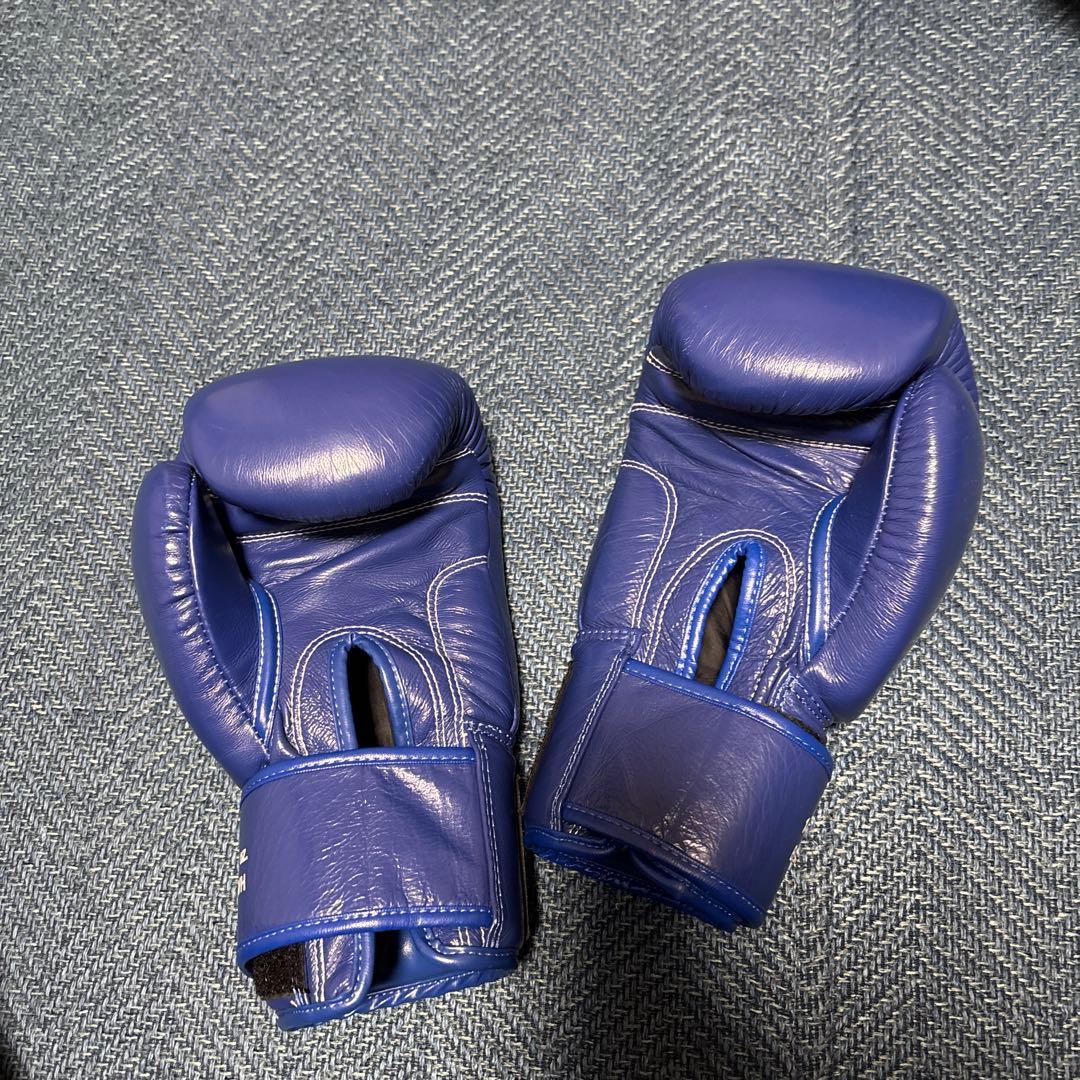 WINDY ボクシンググローブ 14 oz ブルー