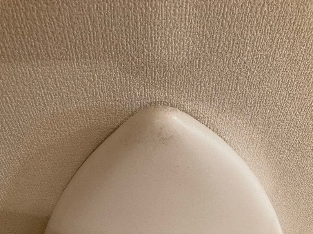 ミックファニングソフトボード　ユージニー