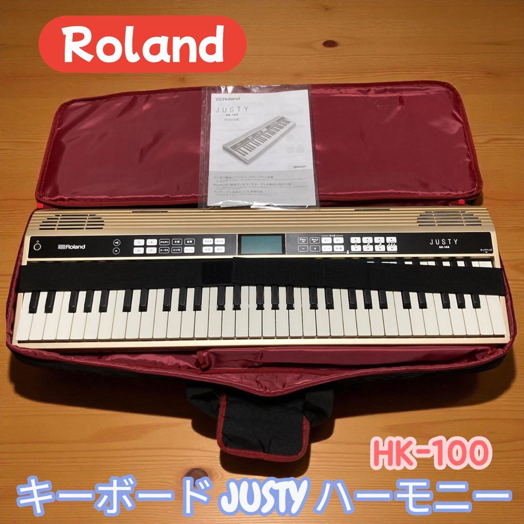 Roland JUSTY HK-100 付属品完備 美品 キーボード