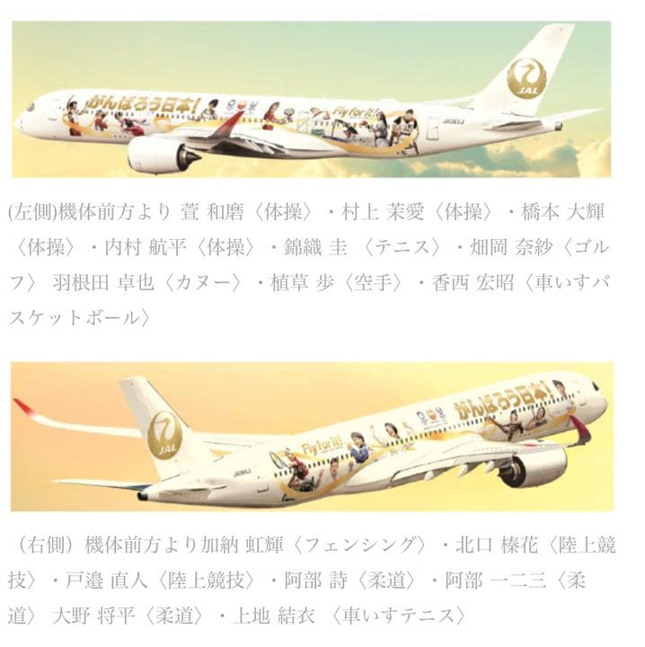 大型！東京オリンピック！特別塗装機　飛行機　模型