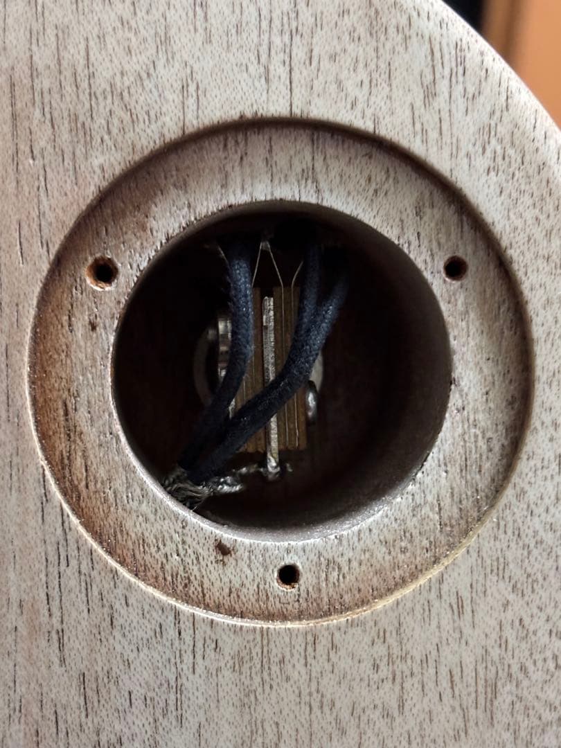 DEVISER別注　レスポールスペシャル