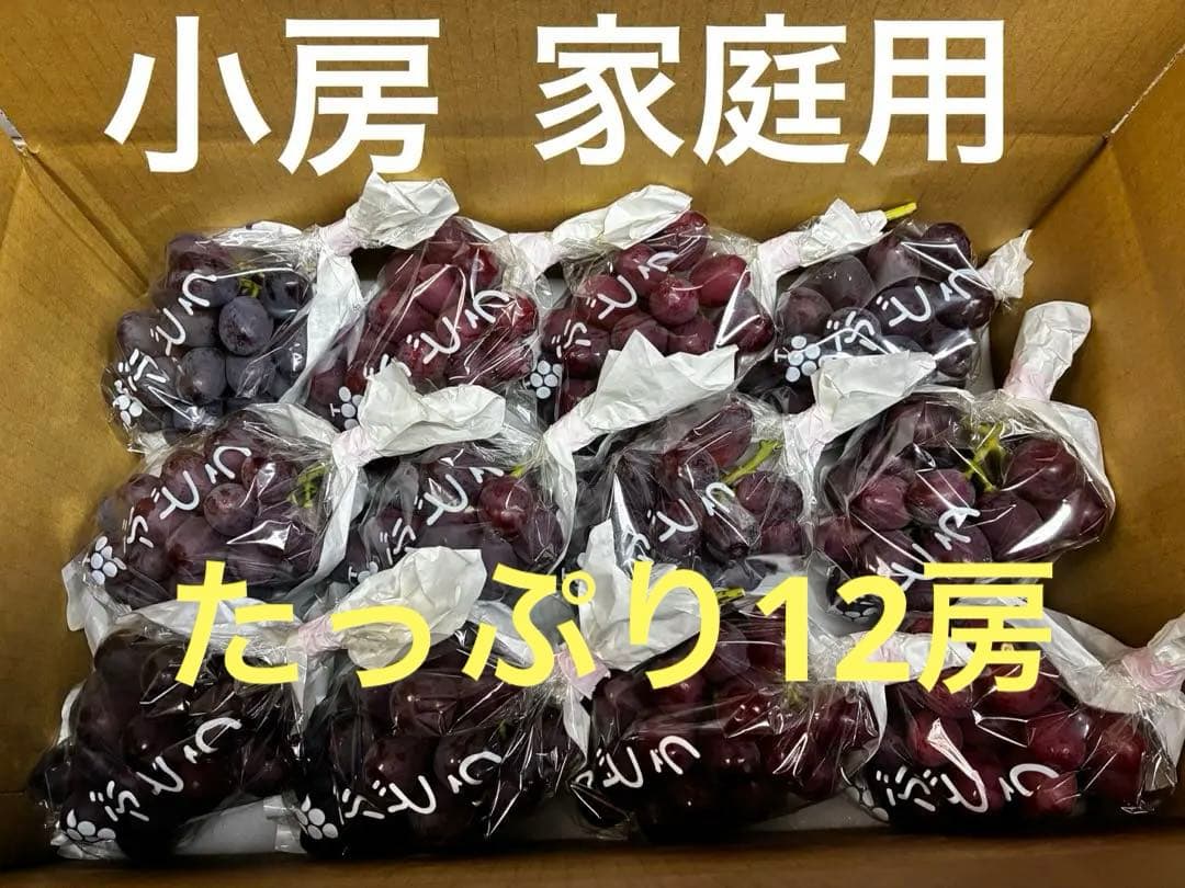 訳あり※前日収穫クイーンルージュ12房※小房あり（約3.8k）本日発送